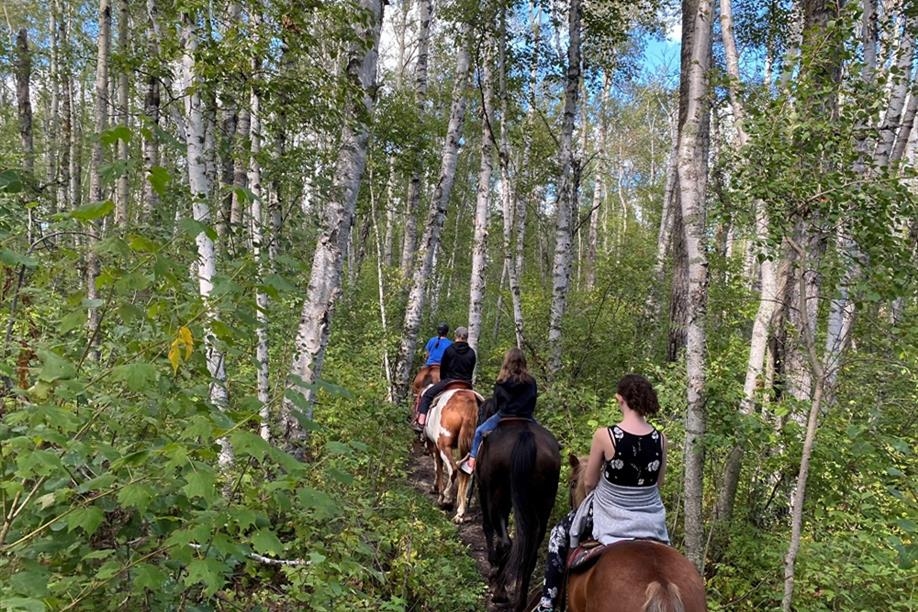 Madge Lake Riding Stables