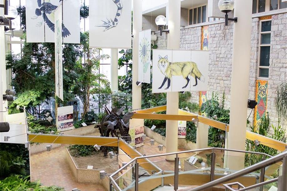 Museum of Natural Sciences