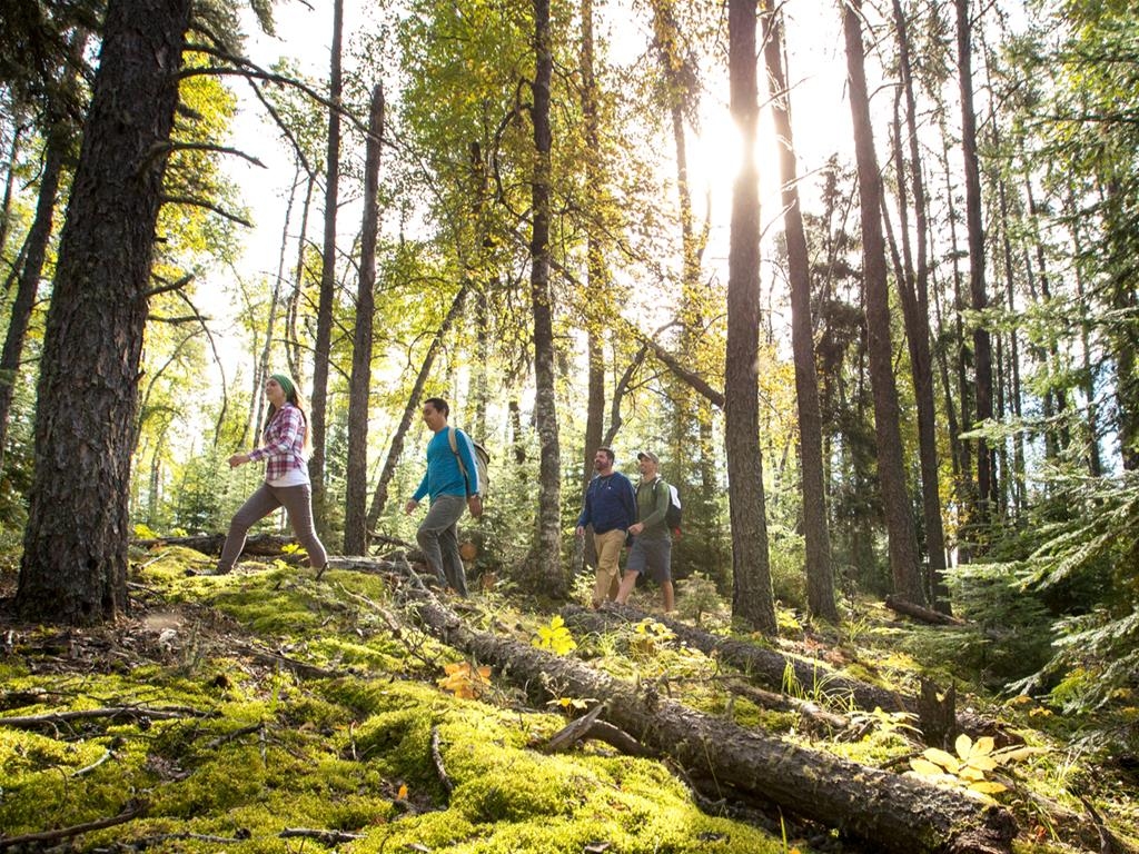 Prince Albert National Park Trails; Photo: Parks Canada