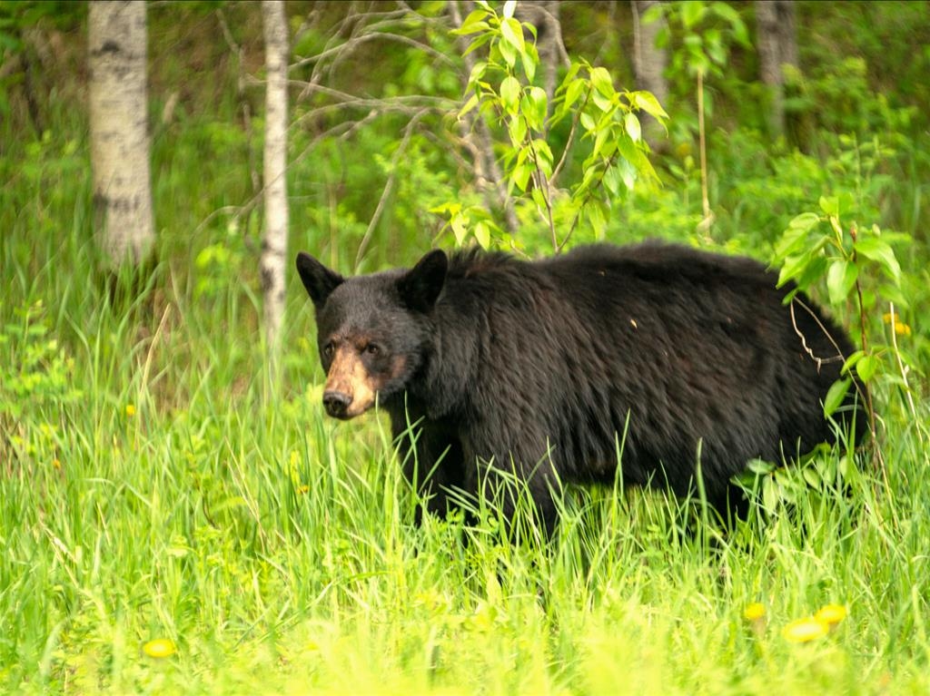 Prince Albert National Park Trails; Photo: Parks Canada