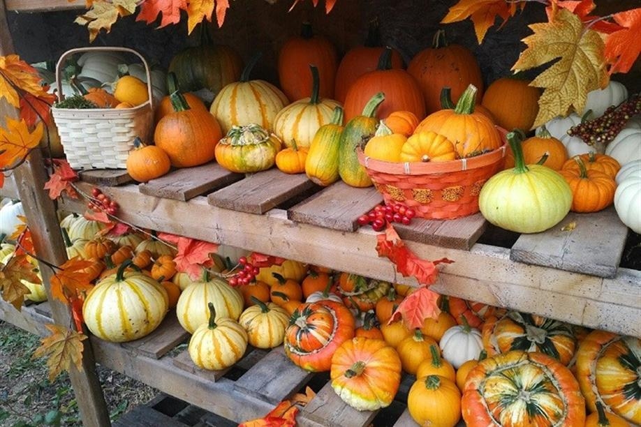 Paintball Paradise PA and Haunted House