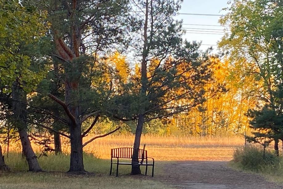 Richard St. Barbe Baker Afforestation Area