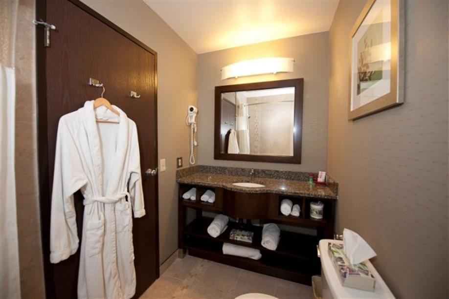 Ramada Hotel - Saskatoon - Guest Room bathroom