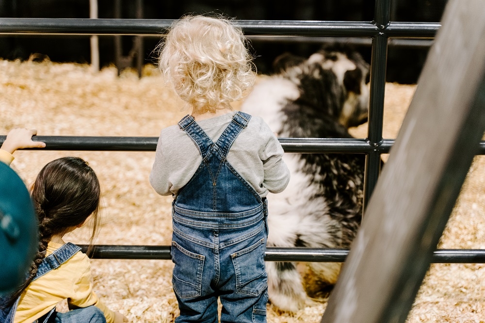 Regina - Annual events include Canadian Western Agribition, Canada's largest livestock show