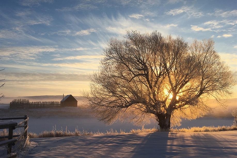 The Crossing at Grasslands