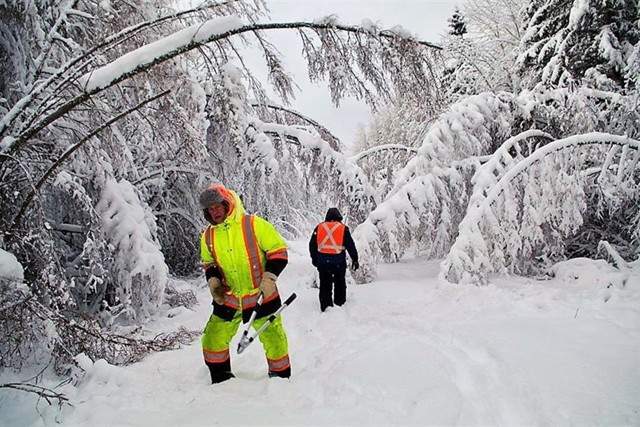 Timber Trails Sno Riders Co-operative Ltd.