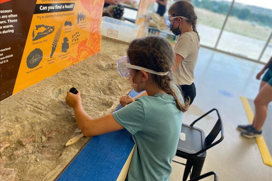 T.rex Discovery Centre