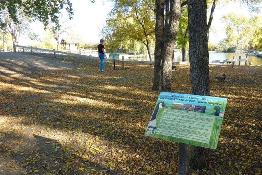 Waterfowl Display Ponds - Image: Kathy Rosenkranz