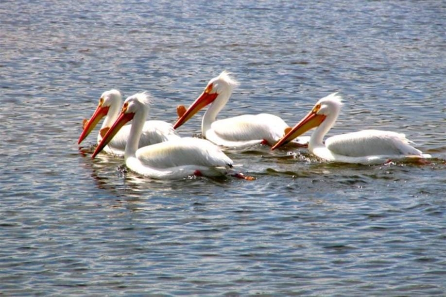Turtle Lake Nature Sanctuary