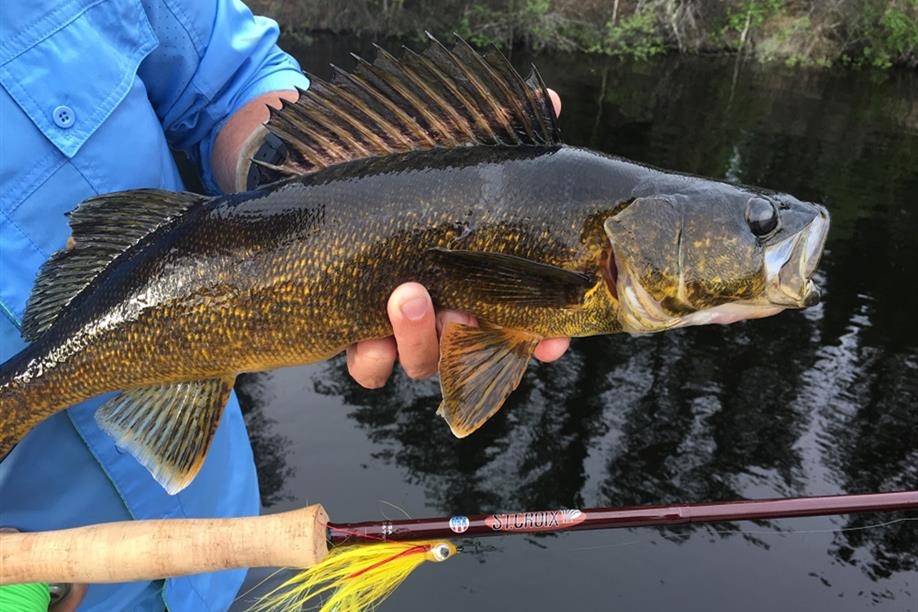 Wilderness Family Outfitters