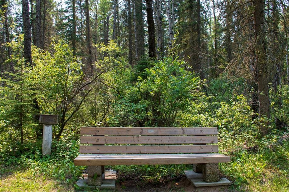 Aschim Homestead Heritage Forest