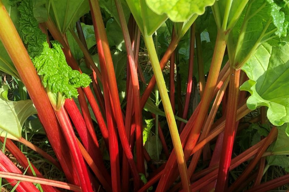 Bee & Thistle Winery