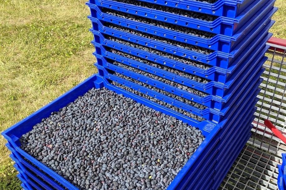 Bee & Thistle Winery