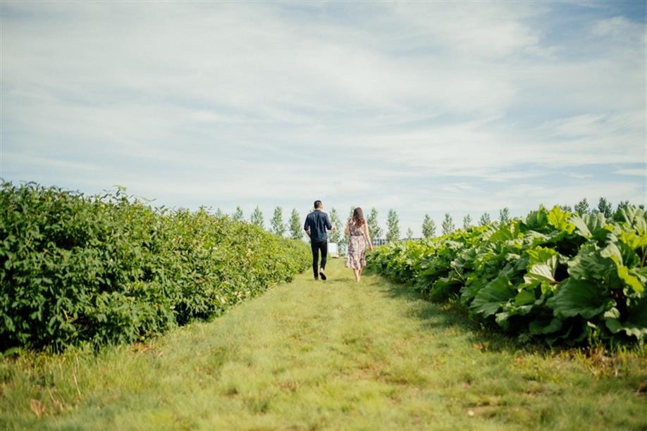 Black Fox Farm & Distillery