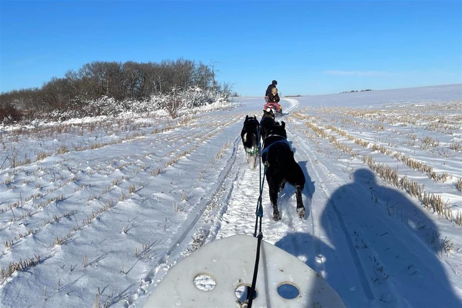 Eagle Ridge Dog Sled Tours