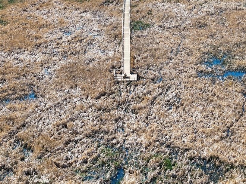 Nicolle Flats Interpretive Area