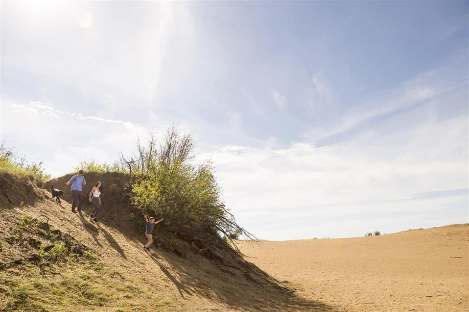 Douglas Provincial Park Trails