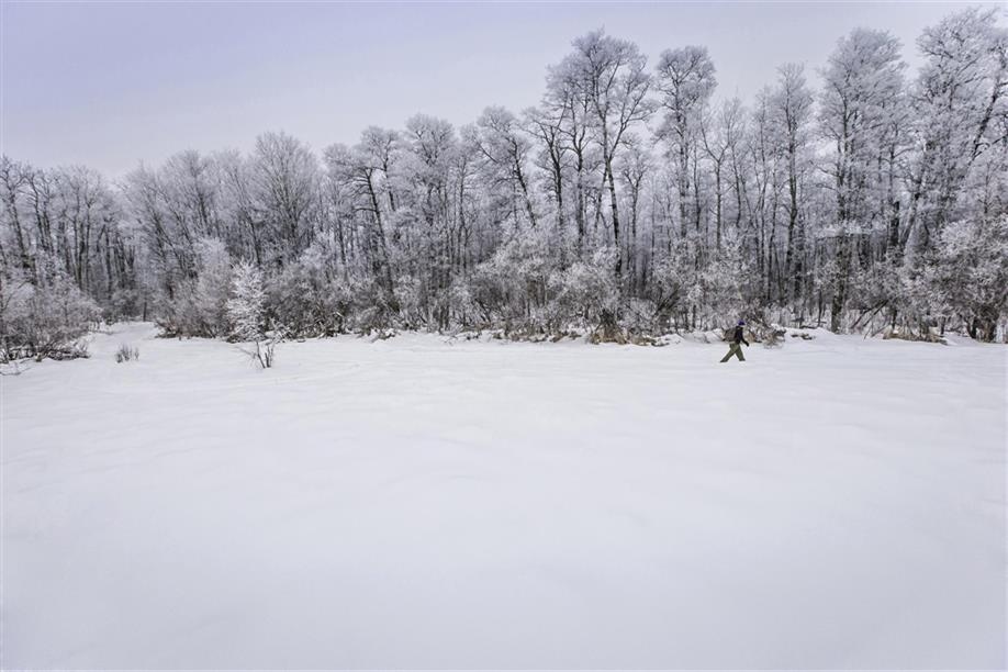 Greenwater Lake Provincial Park Trails