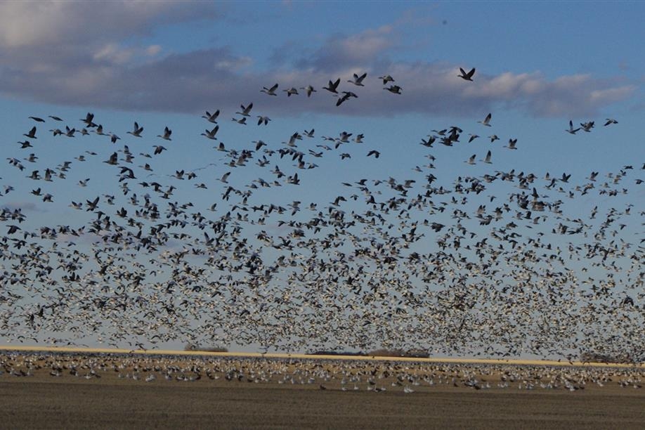 Pike Lake Outfitters Ltd