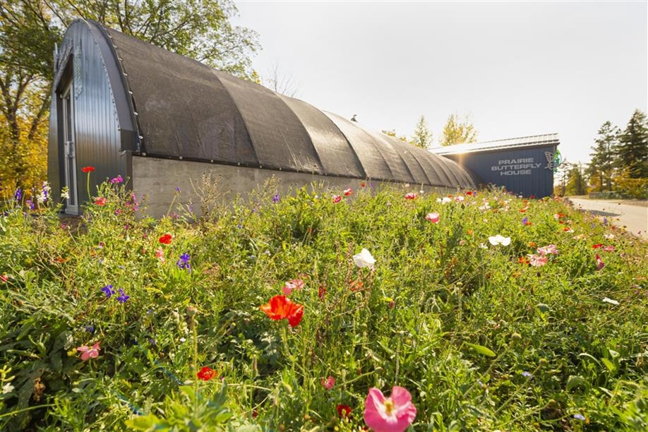 Saskatoon Forestry Farm Park & Zoo