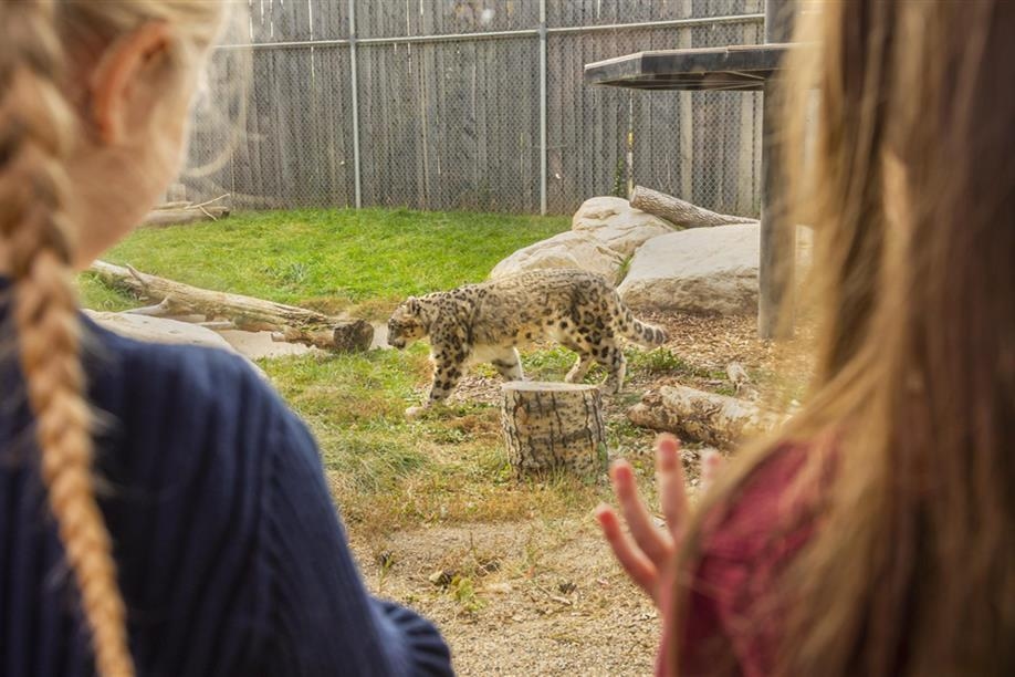 Saskatoon Forestry Farm Park & Zoo