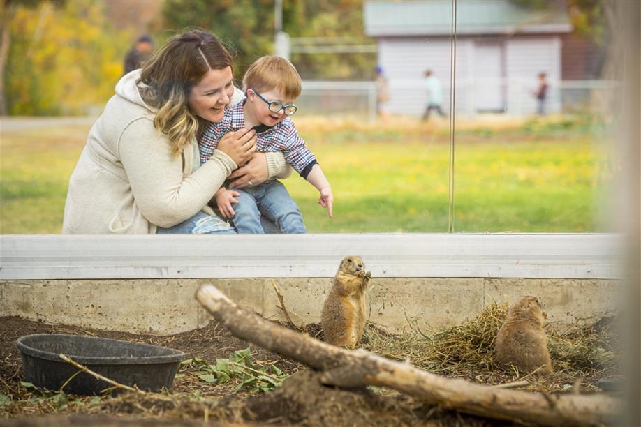 Saskatoon Forestry Farm Park & Zoo