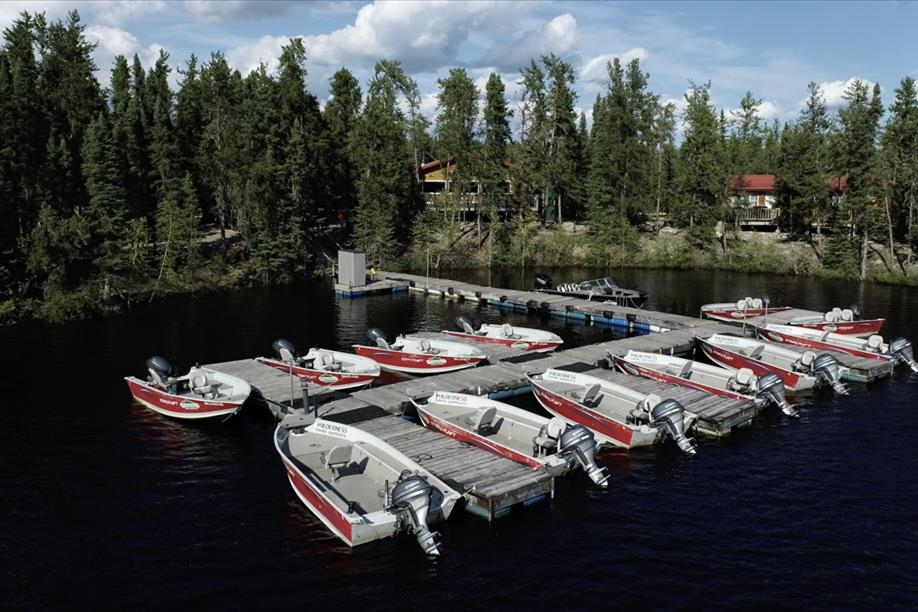 Wilderness Family Outfitters