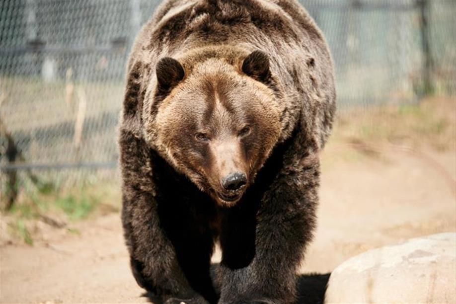 Saskatoon Forestry Farm Park & Zoo