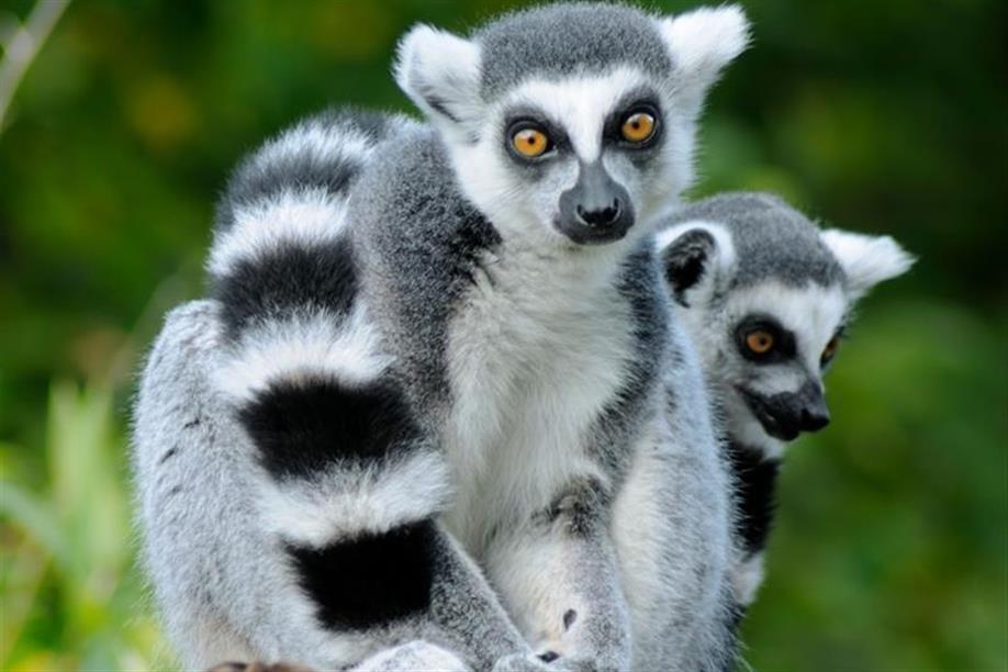 Saskatoon Forestry Farm Park & Zoo
