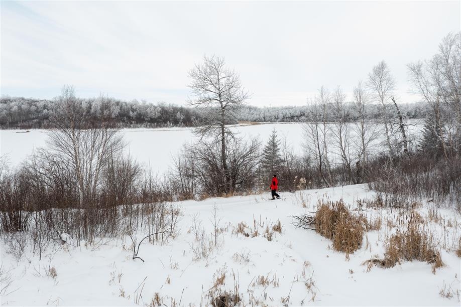 Moose Mountain Provincial Park; Photo: Tourism Saskatchewan