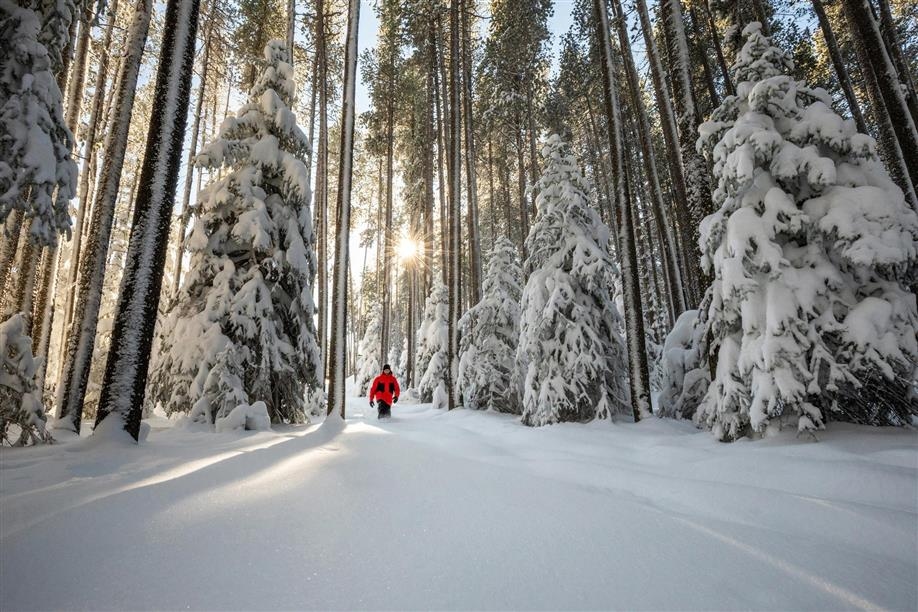 Cypress Hills Interprovincial Park