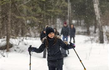 Meadow Lake Provincial Park Winter Trails