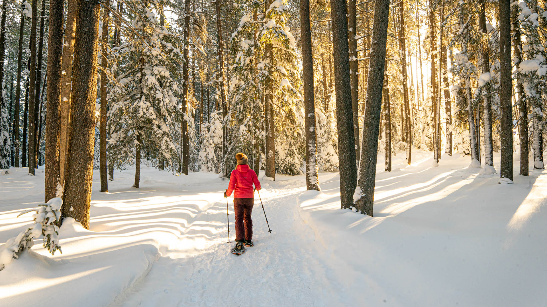 Where to Winter Camp in Saskatchewan - The Lost Girl's Guide to Finding the  World