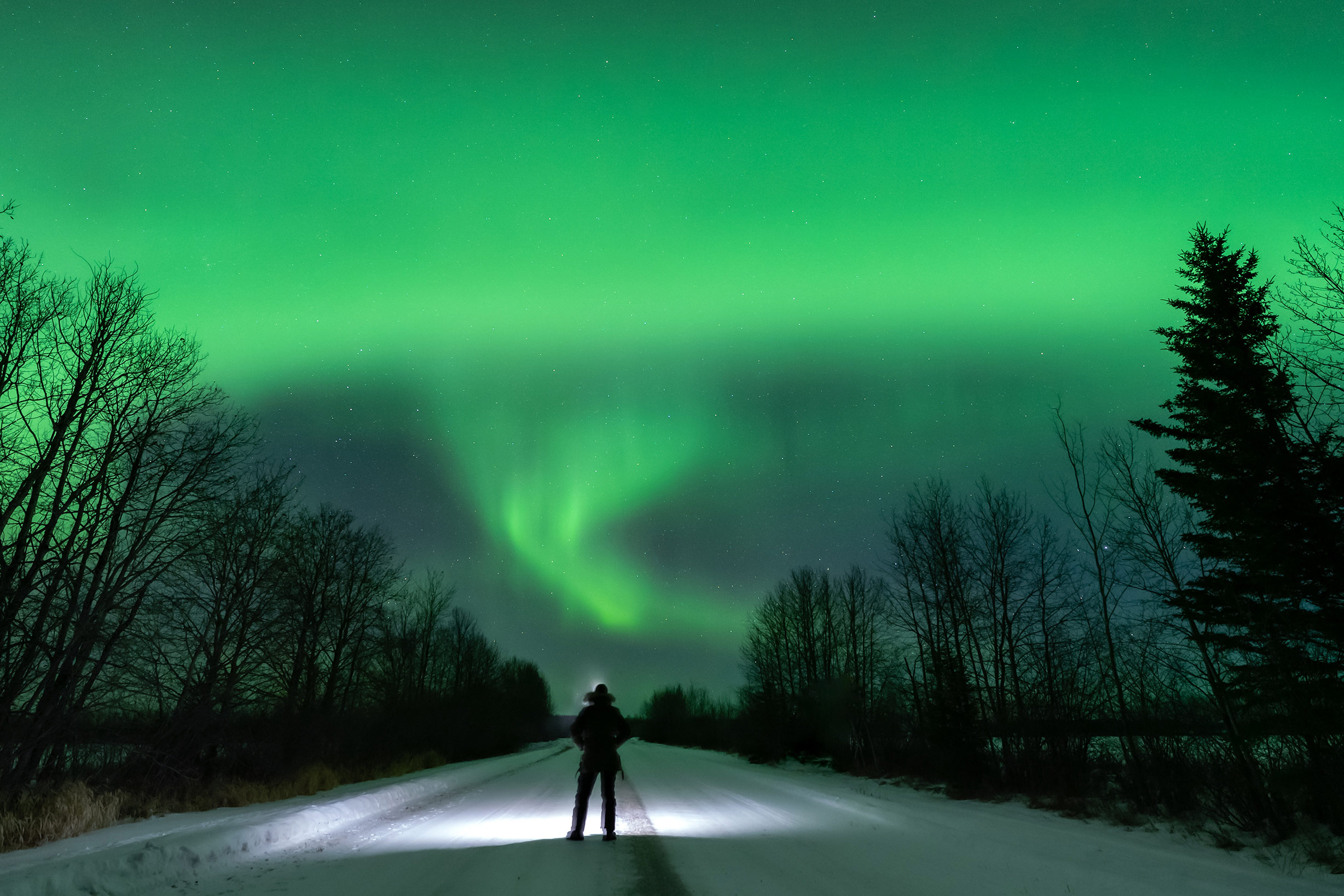 Dock overlooking tranquil lake with northern lights on the horizon